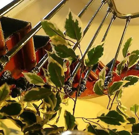 Hotel Amarys Simart *